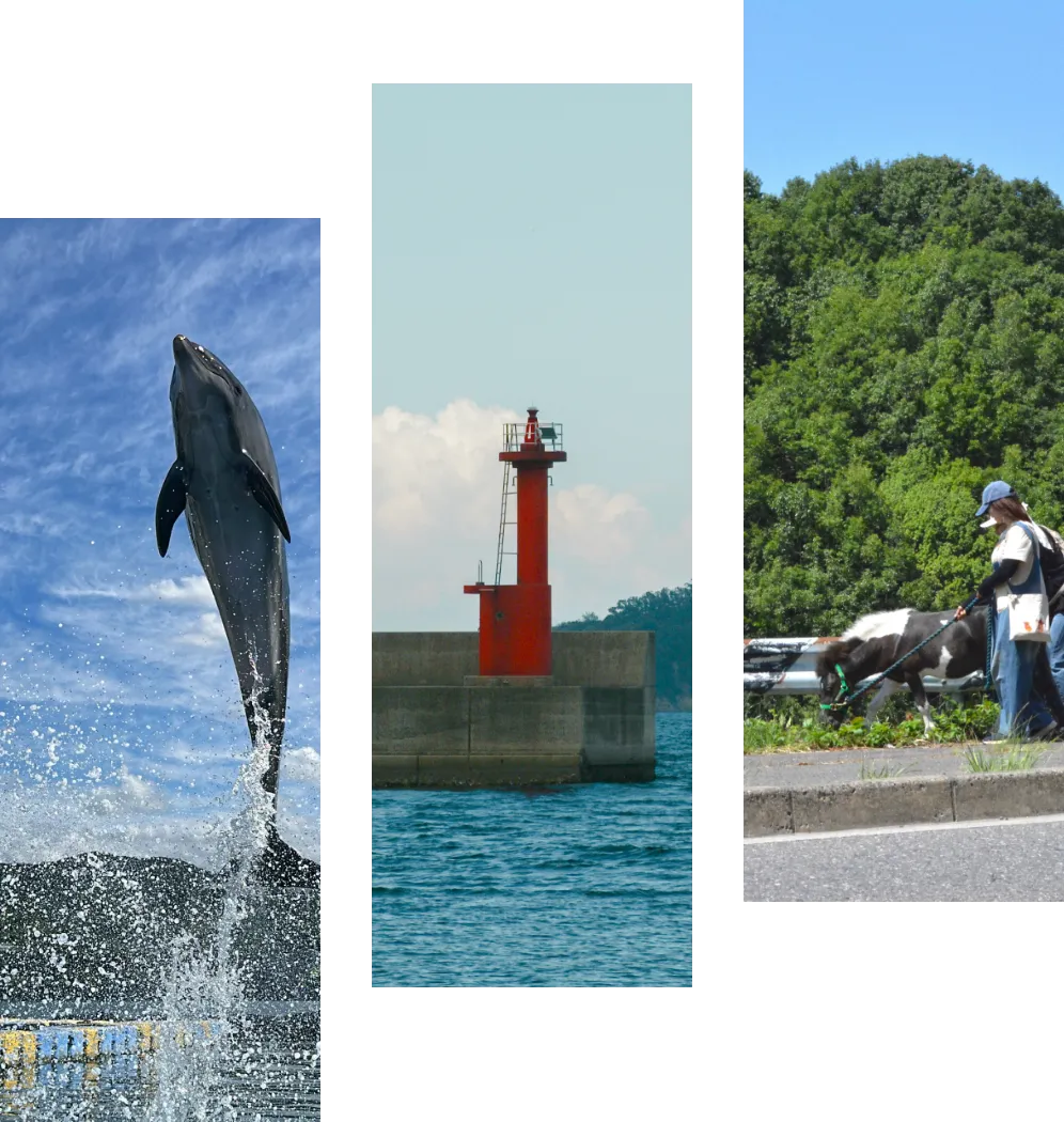 イメージ：山、町、海